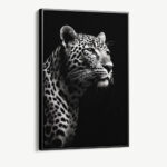 “Leopard Black”