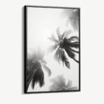“Palm top”