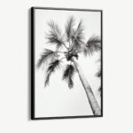 “Beachy Palm”