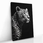 “Leopard Black” – Bild 2