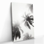 “Palm top” – Bild 2