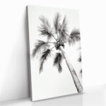 “Beachy Palm” – Bild 2