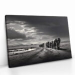 “Elephant Family” – Bild 2