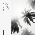 “Palm top” – Bild 7