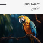 “Pride Parrot” – Bild 7