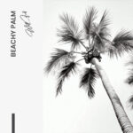 Beachy Palm - Glass – Bild 5