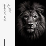 “Lion close-up” – Bild 7