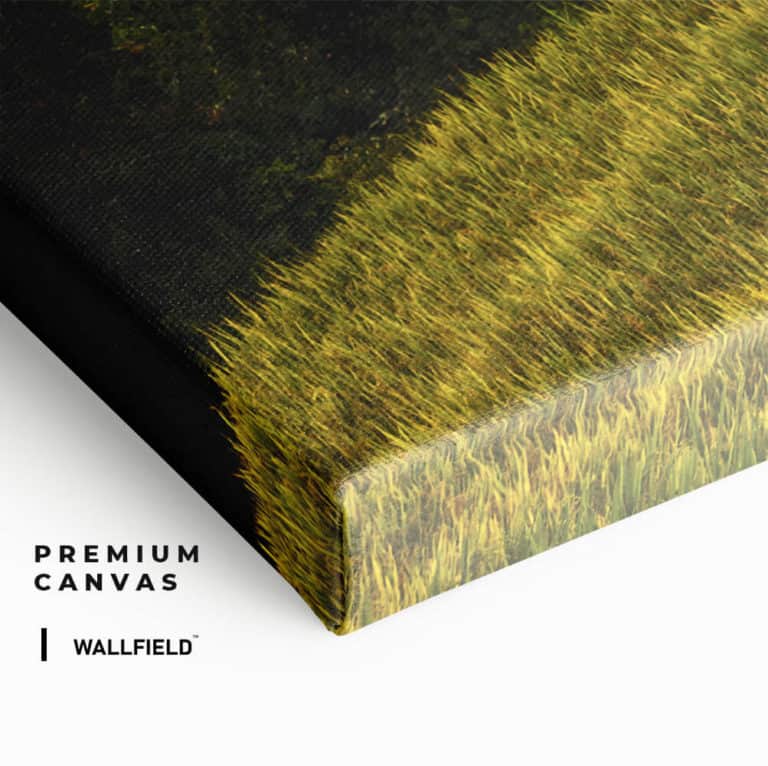 „China“ „China“