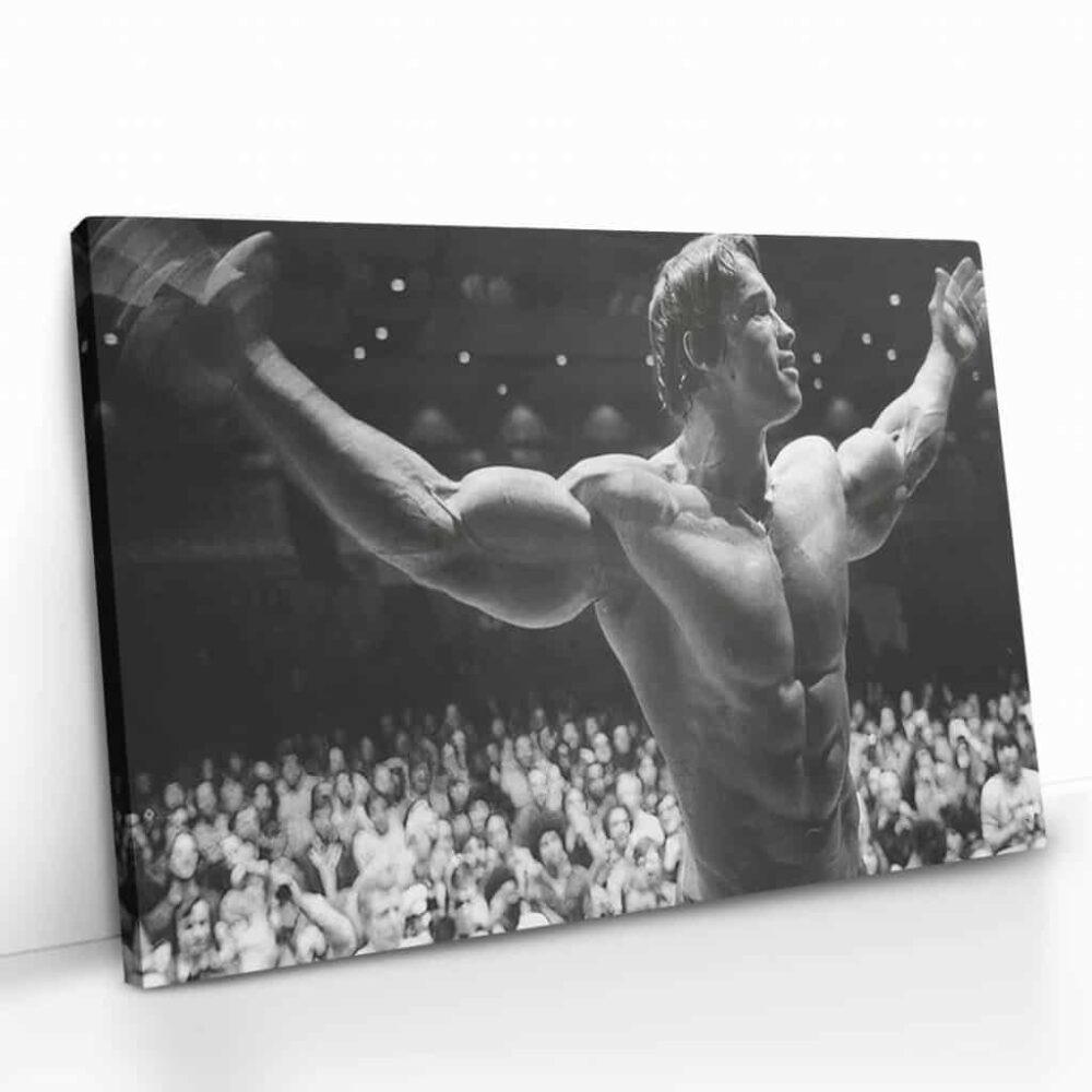 “Arnold Schwarzenegger”