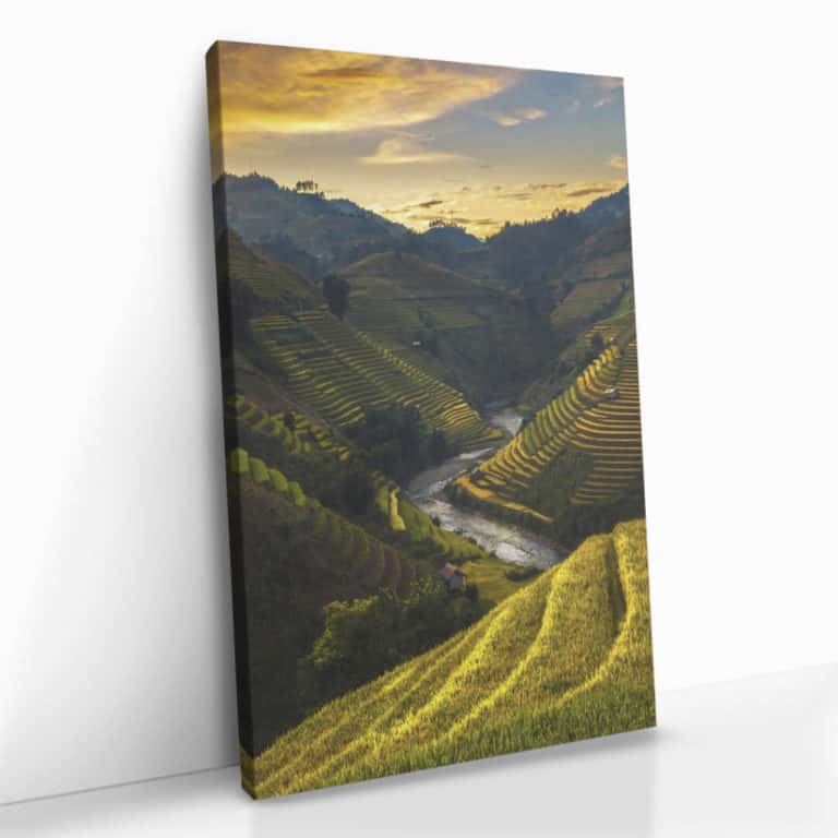 „China“ „China“