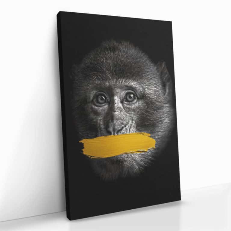 „Monkey (speak no evil)“ „Monkey (speak no evil)“