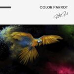 Color Parrot – Glas – Bild 5