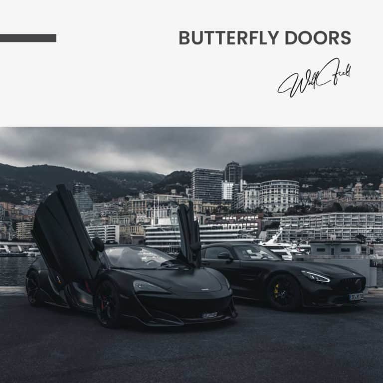Butterfly Doors – glass