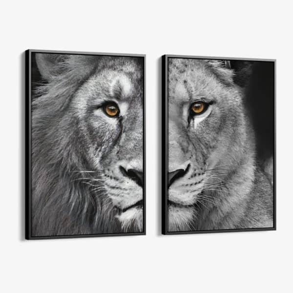 Bundle: Lion & lioness (2x)