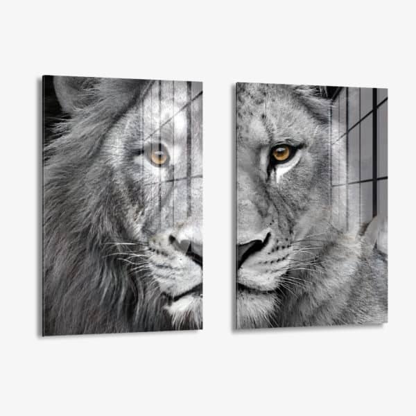 Bundle: Lion & lioness (2x) - Glass