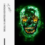 Bundle: "Skull x Limited Edition" (3x) – Bild 4