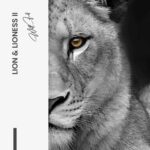 LionLionessIIDesign-signature---tiny.jpg