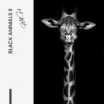 Design-signature---tiny-(1).jpg