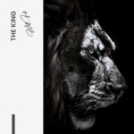 Design-signature---tiny.jpg