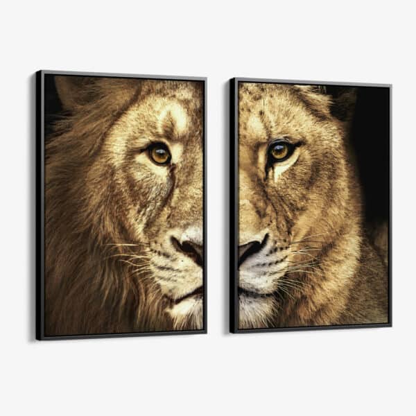 Bundel-Lion-lioness-Color-2x-Canvas.jpeg