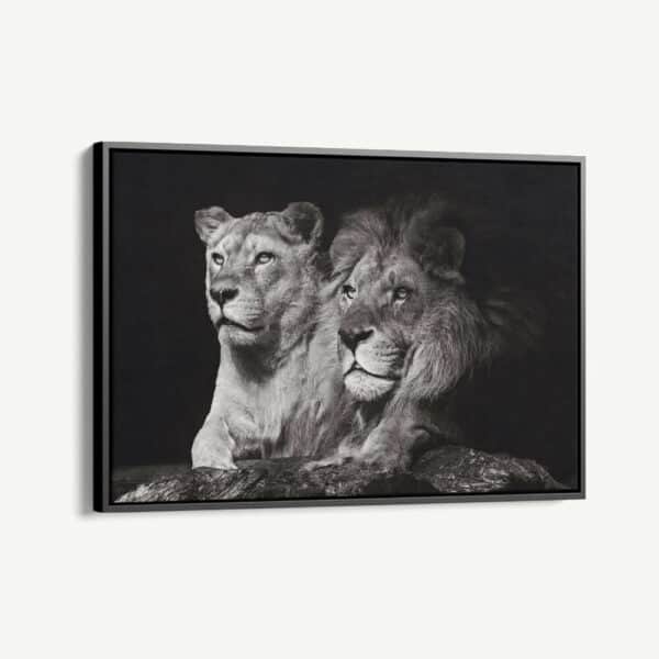 Cvas-Detail-1 Cvas-Detail-1