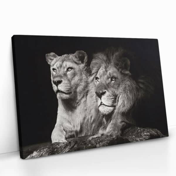 Cvas-Detail-5 Cvas-Detail-5