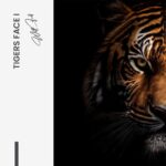 Bundle: "Tiger face" (2x) – Bild 2