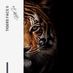 Bundle: "Tiger face" (2x) – Bild 4