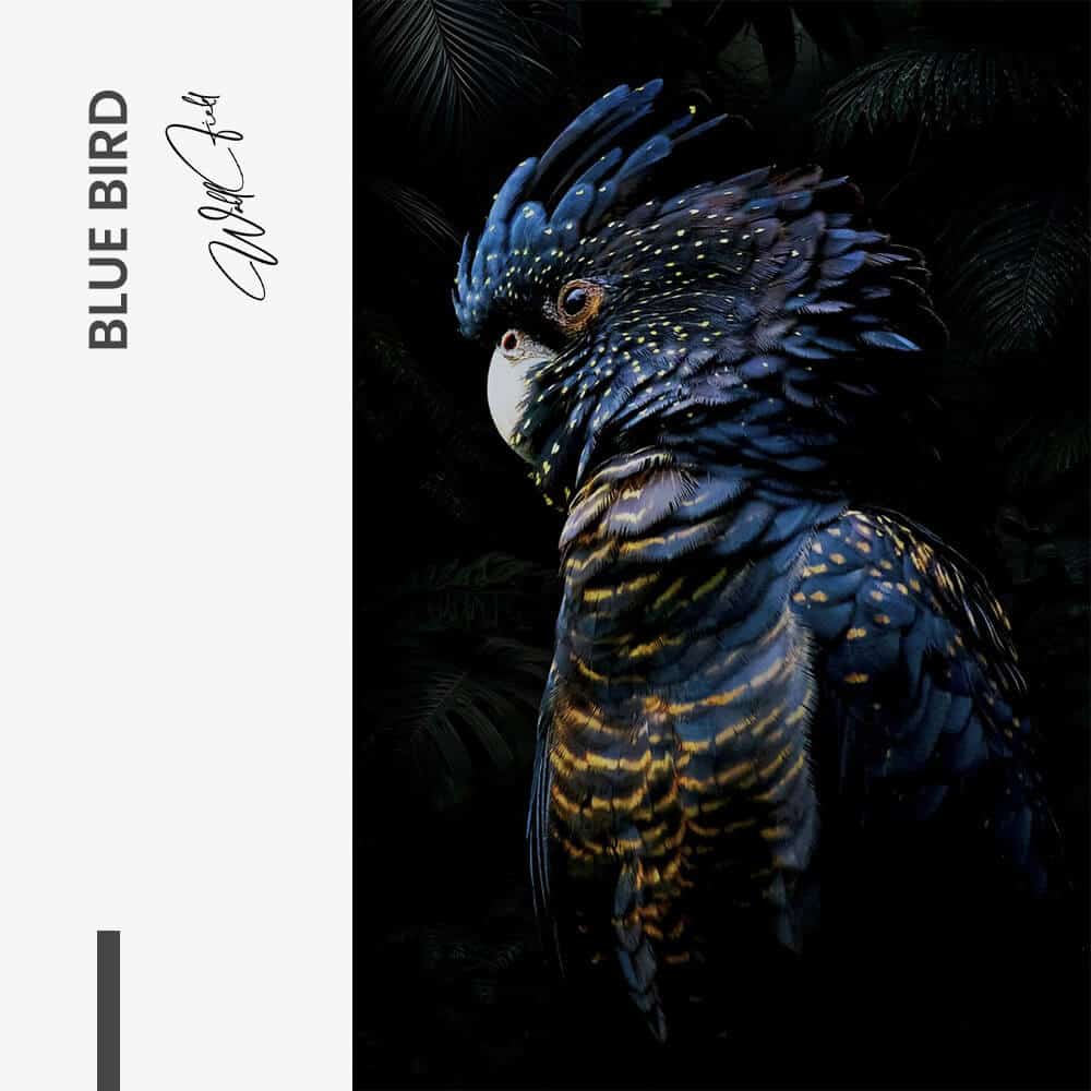 Design-signature - tiny