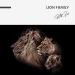 "Lion Family" – Bild 7