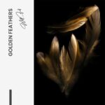 "Golden Feathers" – Bild 7