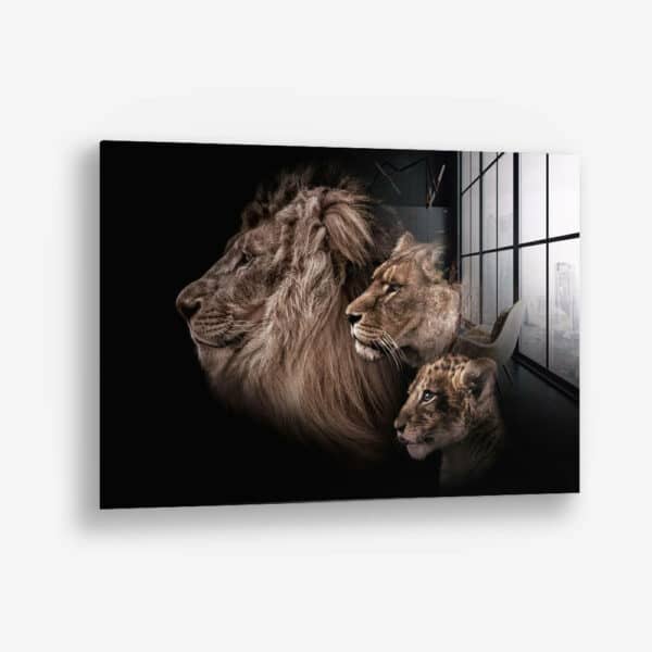 Lion Family – Glas
