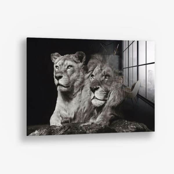 Lion Couple – Glas