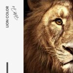 LionColorDesign-signature---tiny-(1).jpeg