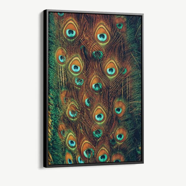 Cvas Detail 1 Cvas Detail 1