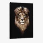 "Lion Head"