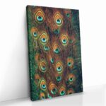 "Peacock Feathers" – Bild 2