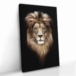 "Lion Head" – Bild 2