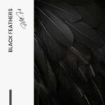 Black Feathers – Glas – Bild 5