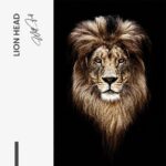 "Lion Head" – Bild 7