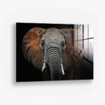Wild Elephant – Glas