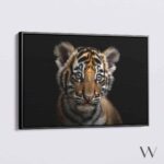 "The Tiger Cub"