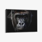 "The Gorilla"