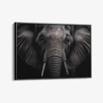 "Elephant Close-Up"