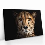 "The Cheetah" – Bild 2