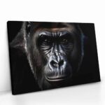 "The Gorilla" – Bild 2