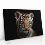 "The Tiger Cub" – Bild 2