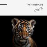 The Tiger Cub – Glas – Bild 5