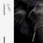 Bundle: "Elephant" (2x) – Glas – Bild 6