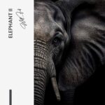 Bundle: "Elephant" (2x) – Glas – Bild 7
